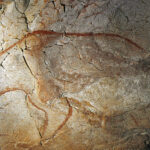 Ours des Caverne- grotte Chauvet. © cliché Carole Fritz -Ministère Culture