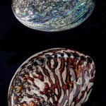les quatre gemmes : l’émeraude (béryl vert, Be3Al2Si6O18), le rubis rouge et le saphir (variétés de corindon, Al2O3), le diamant (dans sa gangue de roche volcanique).