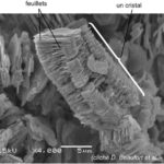 Photo en électrons rétrodiffusés de cristaux de kaolinite observés au microscope électronique à balayage (MEB) : structure typique en feuillet
