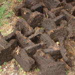 Briques de tourbe